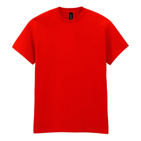 Gildan Heavy Cotton™ adult t-shirt (Custom)
